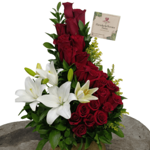 Beauty roses